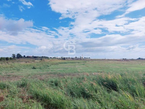 terreno agricolo in vendita a Montalto di Castro in zona Pescia Romana