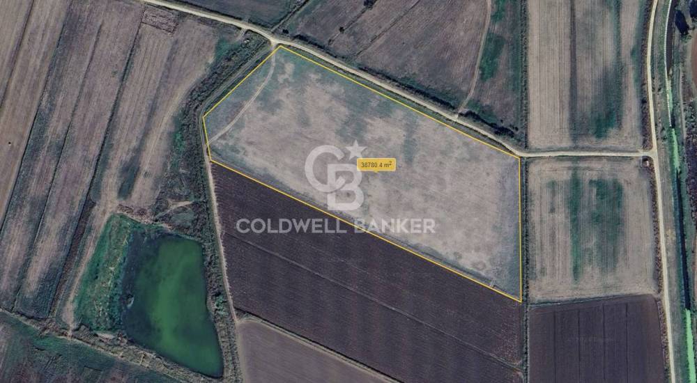 terreno agricolo in vendita a Montalto di Castro in zona Pescia Romana