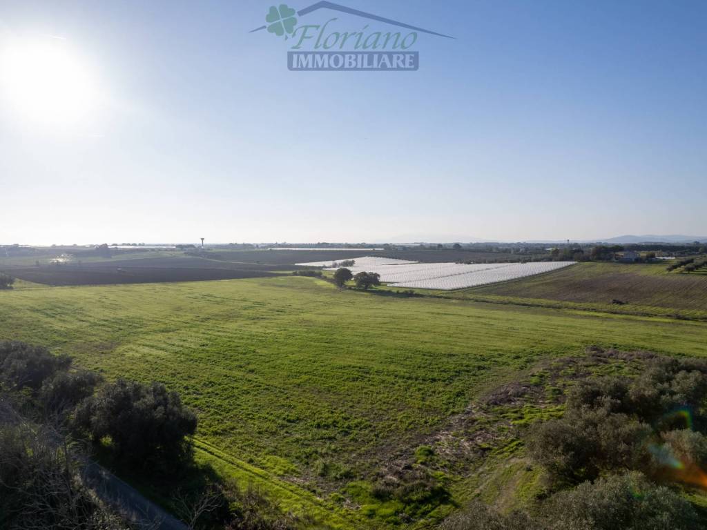 terreno agricolo in vendita a Montalto di Castro in zona Pescia Romana