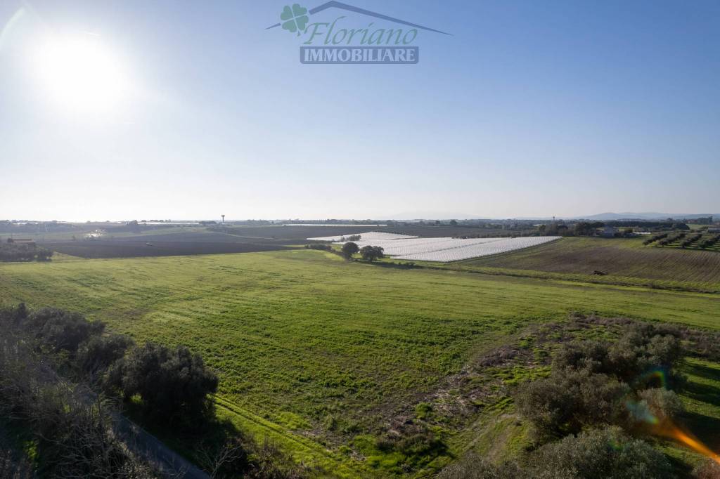 terreno agricolo in vendita a Montalto di Castro in zona Pescia Romana