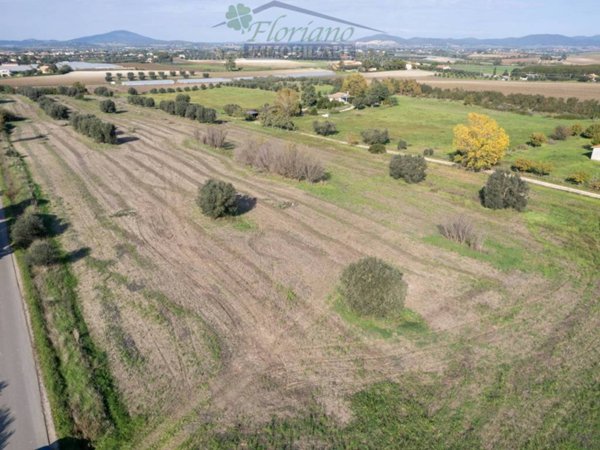 terreno agricolo in vendita a Montalto di Castro in zona Pescia Romana