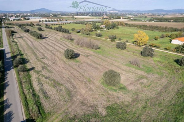 terreno agricolo in vendita a Montalto di Castro in zona Pescia Romana