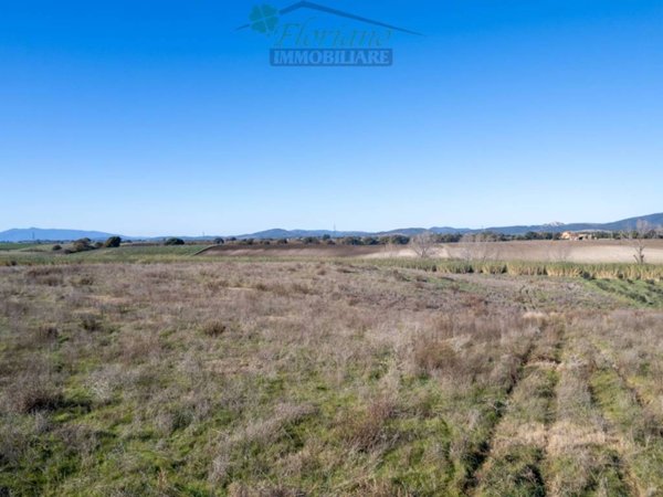 terreno agricolo in vendita a Montalto di Castro