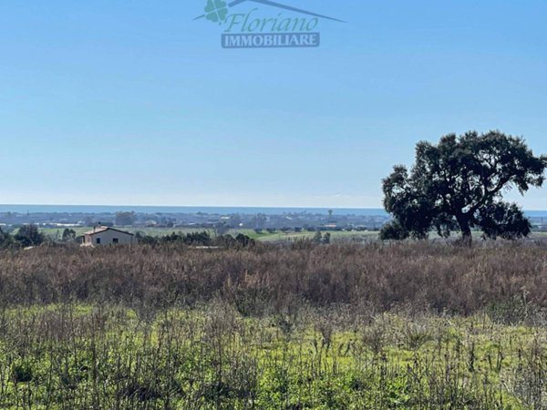 terreno agricolo in vendita a Montalto di Castro in zona Pescia Romana