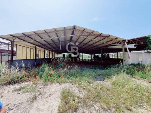 locale di sgombero in vendita a Montalto di Castro