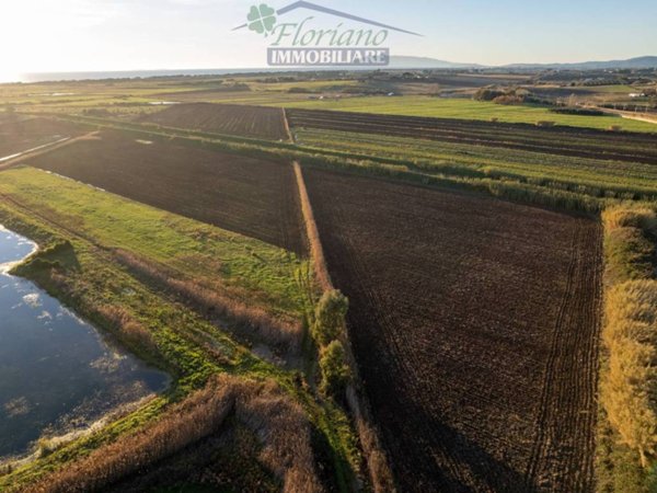 terreno agricolo in vendita a Montalto di Castro in zona Pescia Romana