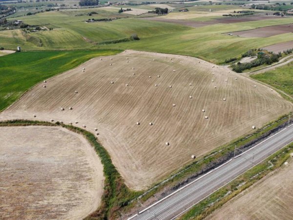terreno agricolo in vendita a Montalto di Castro