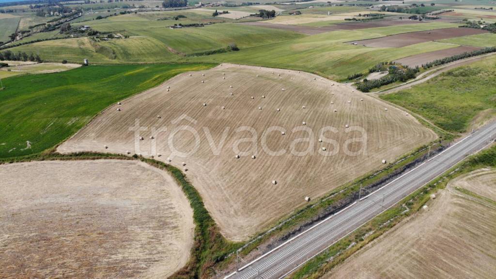 terreno agricolo in vendita a Montalto di Castro