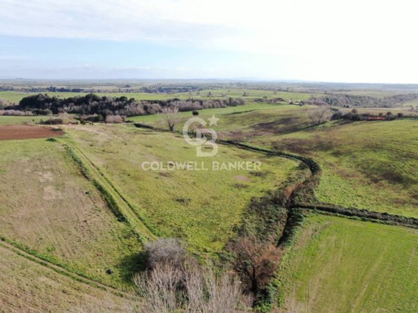 terreno agricolo in vendita a Montalto di Castro