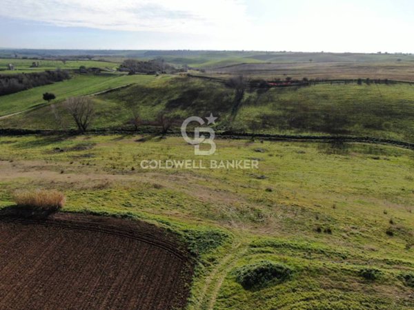 terreno agricolo in vendita a Montalto di Castro