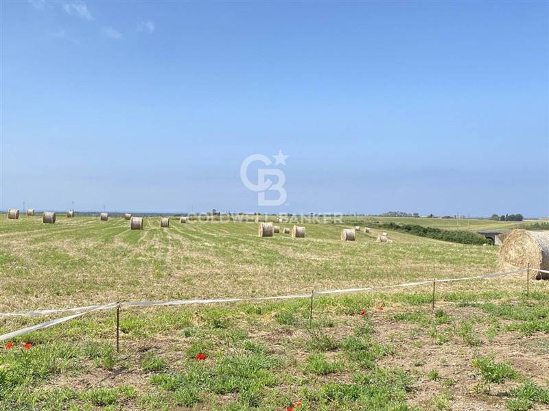 terreno agricolo in vendita a Montalto di Castro