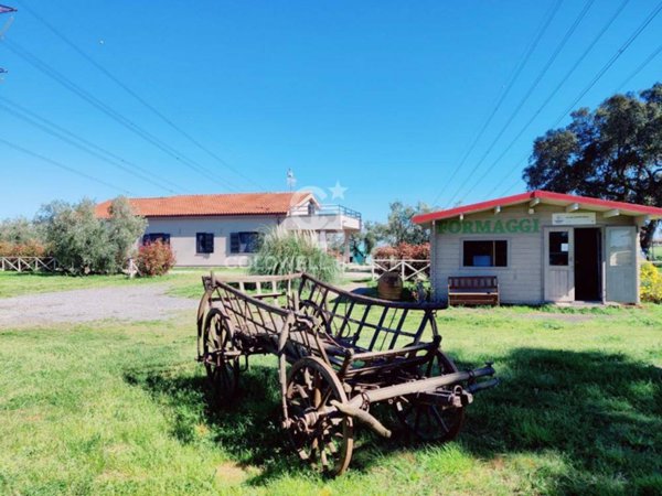 casa indipendente in vendita a Montalto di Castro