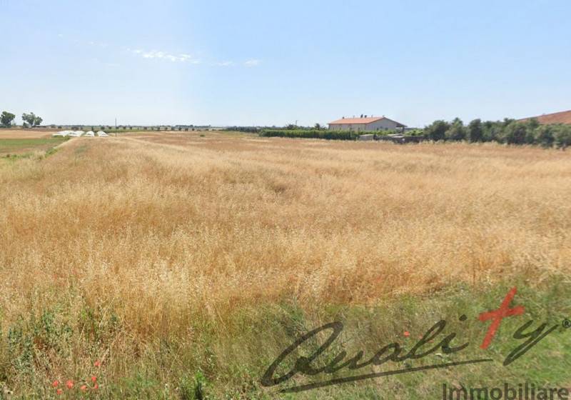 terreno agricolo in vendita a Montalto di Castro
