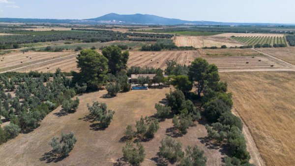 casa indipendente in vendita a Montalto di Castro