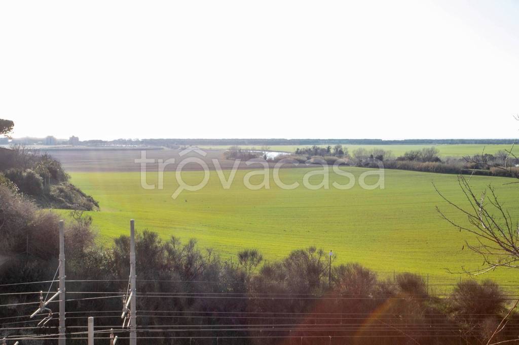 casa indipendente in vendita a Montalto di Castro