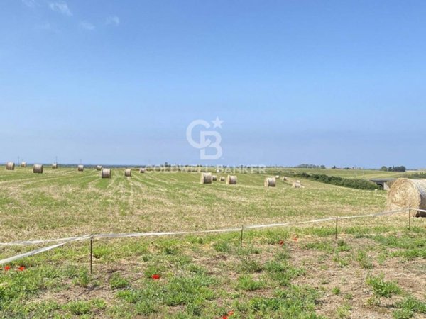 terreno agricolo in vendita a Montalto di Castro