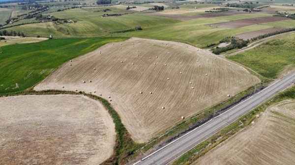 terreno agricolo in vendita a Montalto di Castro