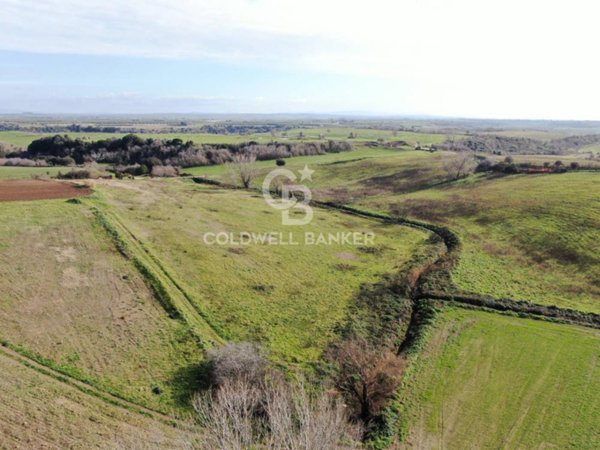 terreno agricolo in vendita a Montalto di Castro