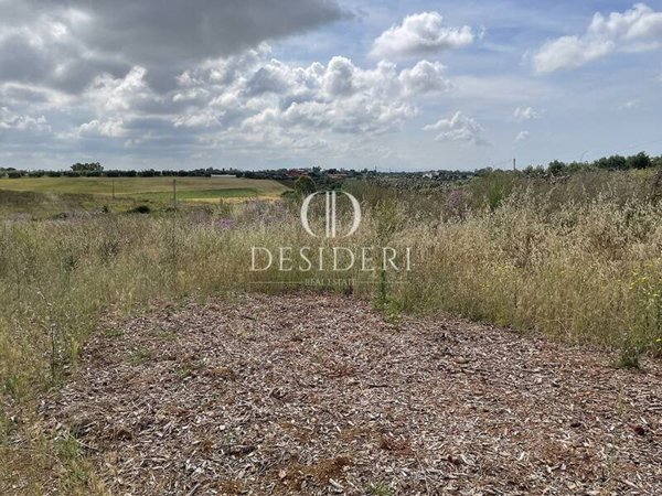 terreno agricolo in vendita a Montalto di Castro in zona Pescia Romana