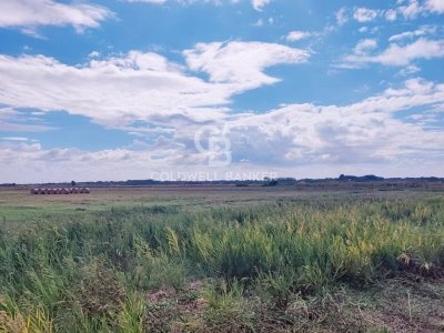 terreno agricolo in vendita a Montalto di Castro in zona Pescia Romana