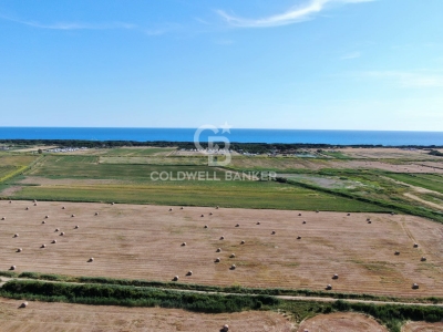 terreno agricolo in vendita a Montalto di Castro in zona Pescia Romana