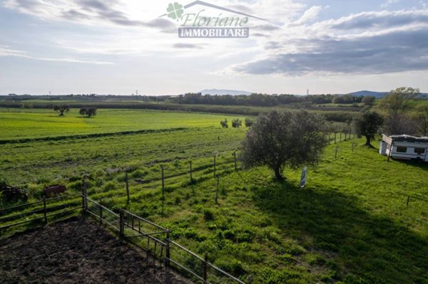 terreno agricolo in vendita a Montalto di Castro in zona Pescia Romana