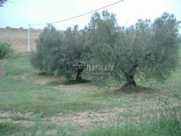 appartamento in vendita a Montalto di Castro