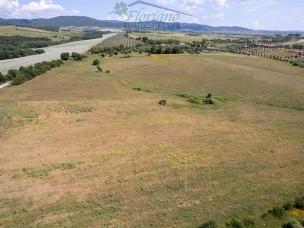 terreno agricolo in vendita a Montalto di Castro in zona Pescia Romana
