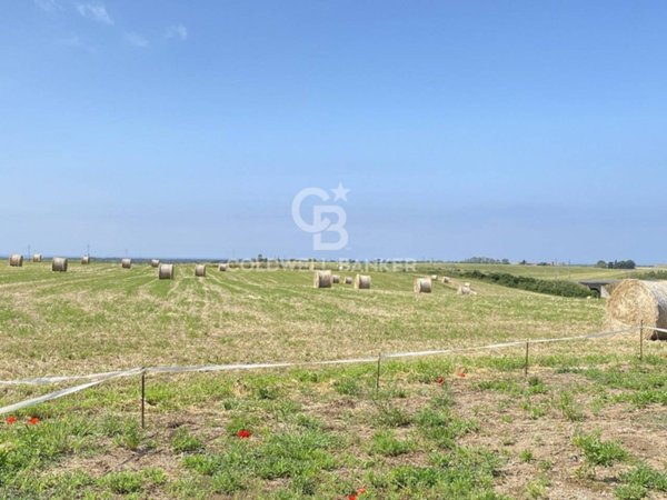 terreno agricolo in vendita a Montalto di Castro