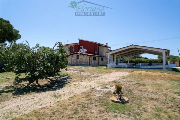 pentavano in vendita a Montalto di Castro