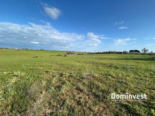 terreno agricolo in vendita a Montalto di Castro in zona Pescia Romana
