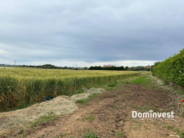 casa indipendente in vendita a Montalto di Castro in zona Pescia Romana