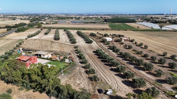 casa indipendente in vendita a Montalto di Castro in zona Pescia Romana