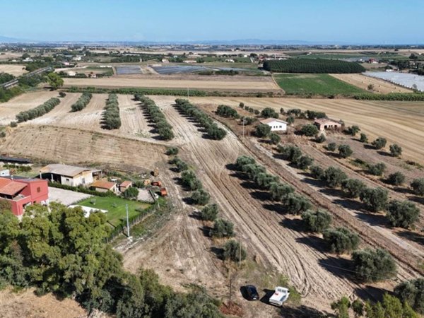 terreno agricolo in vendita a Montalto di Castro in zona Pescia Romana