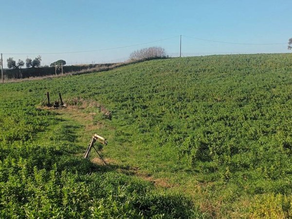 locale di sgombero in vendita a Montalto di Castro