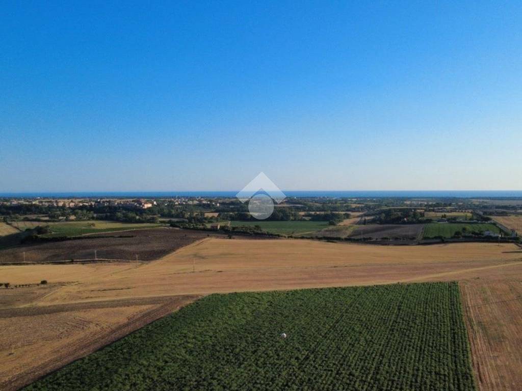 terreno agricolo in vendita a Montalto di Castro
