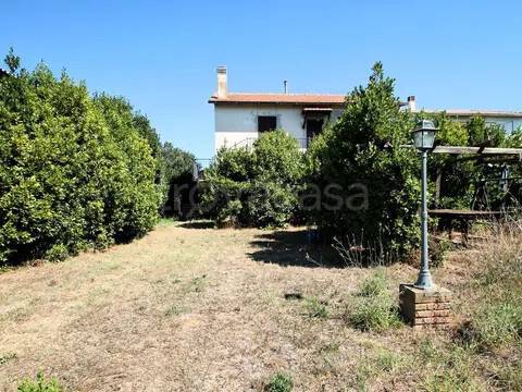 casa indipendente in vendita a Montalto di Castro in zona Pescia Romana