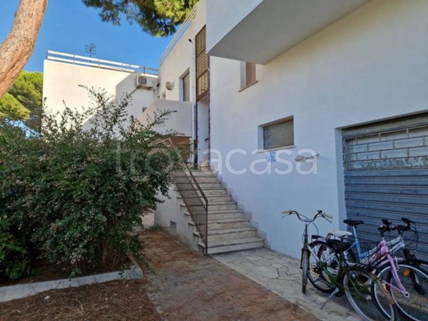 appartamento in vendita a Montalto di Castro in zona Montalto Marina