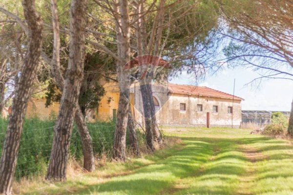 casa indipendente in vendita a Montalto di Castro