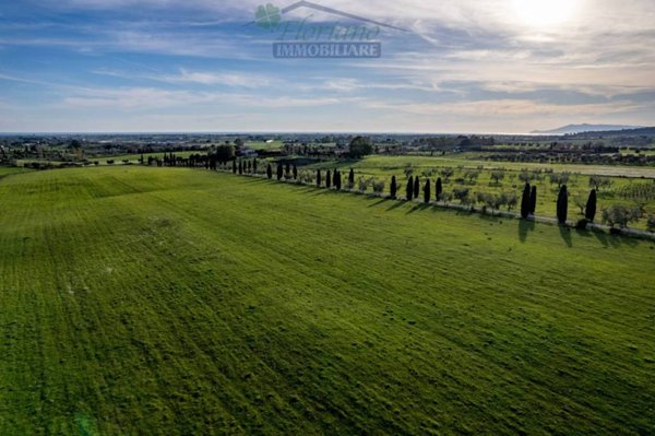 azienda agricola in vendita a Montalto di Castro in zona Pescia Romana