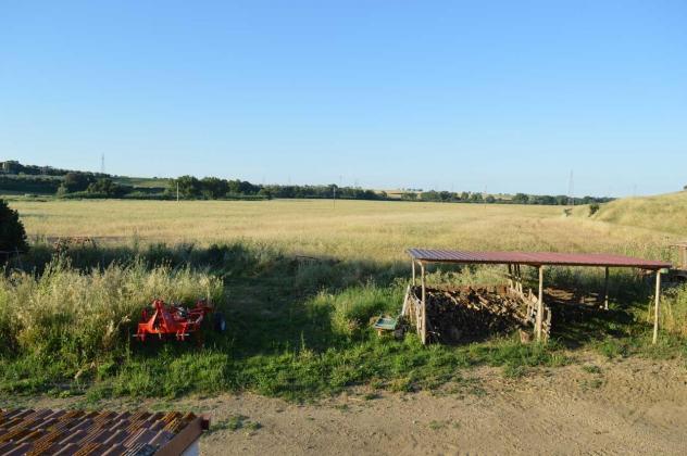 locale di sgombero in vendita a Montalto di Castro