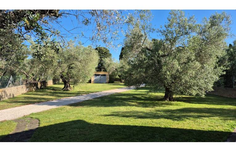 casa indipendente in vendita a Montalto di Castro