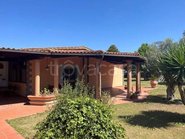 negozio in vendita a Montalto di Castro in zona Montalto Marina