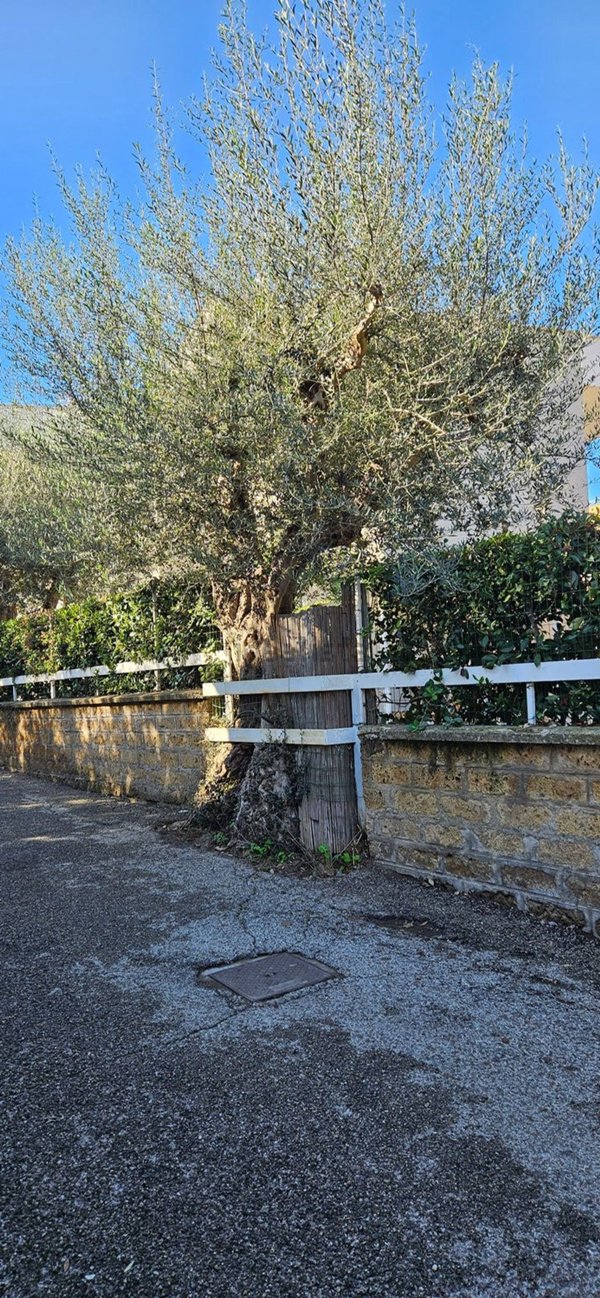 appartamento in vendita a Montalto di Castro