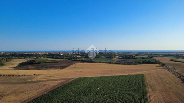 locale di sgombero in vendita a Montalto di Castro