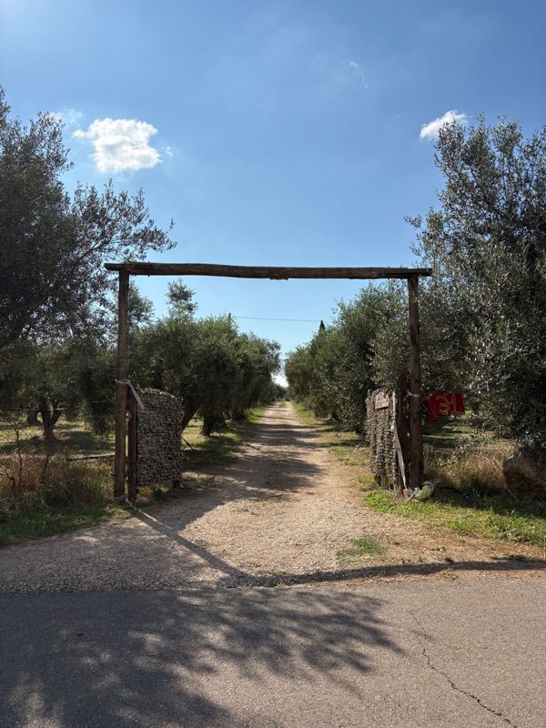 casa indipendente in vendita a Montalto di Castro