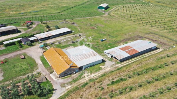 azienda agricola in vendita a Montalto di Castro
