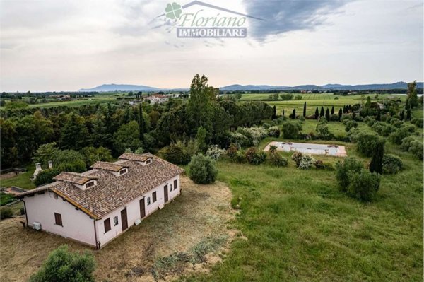 esavano in vendita a Montalto di Castro in zona Pescia Romana