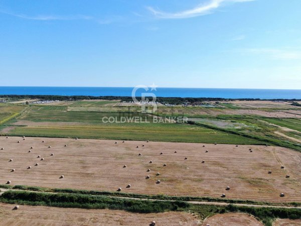 terreno agricolo in vendita a Montalto di Castro in zona Pescia Romana