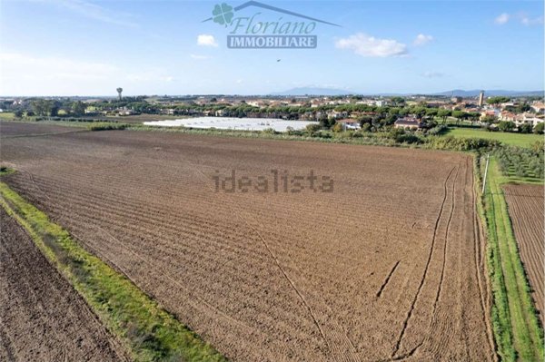 terreno agricolo in vendita a Montalto di Castro in zona Pescia Romana